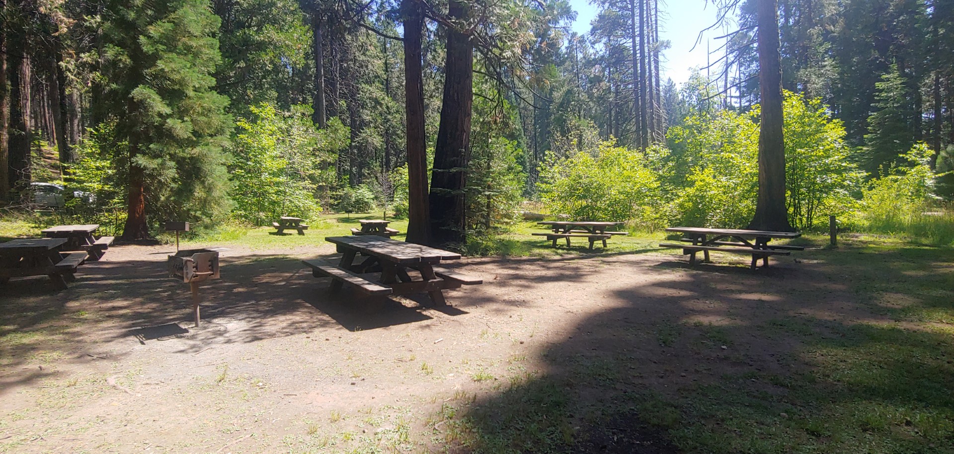 Photo of Sentinel Picnic